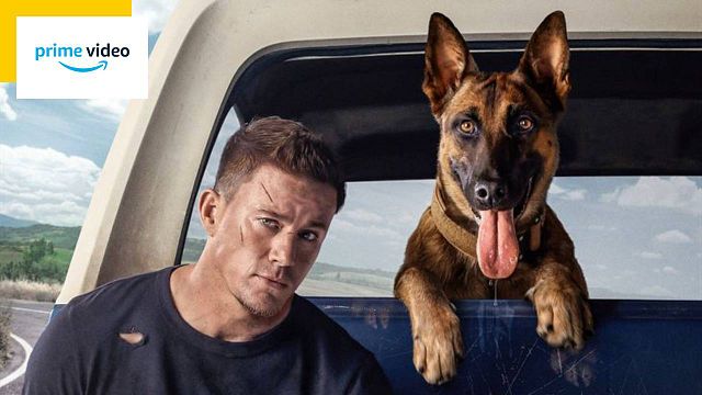 image de la news Channing Tatum, un chien, des larmes : c'est le film Dog sur Prime Video