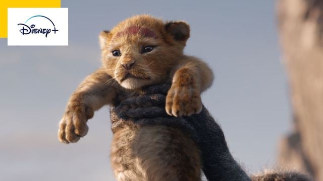 Disney+ : Le Roi Lion et 16 grands succès du box-office sont à voir sur la plateforme