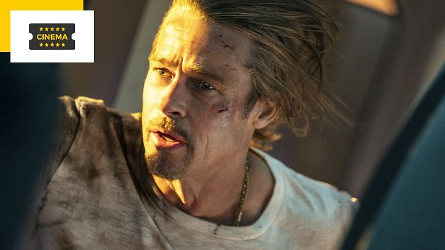 image de la news Locarno 2022 : Brad Pitt et Sophie Marceau en sélection, Matt Dillon honoré par le Festival