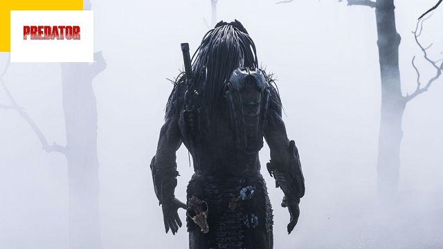 image de la news Le Predator revient ! Que vaut Prey, le préquel monstrueux à voir sur Disney+ ?