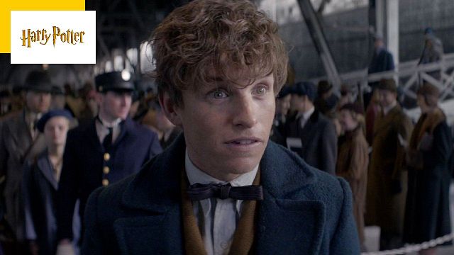 image de la news Les Animaux fantastiques : Norbert Dragonneau apparaissait déjà dans la saga Harry Potter