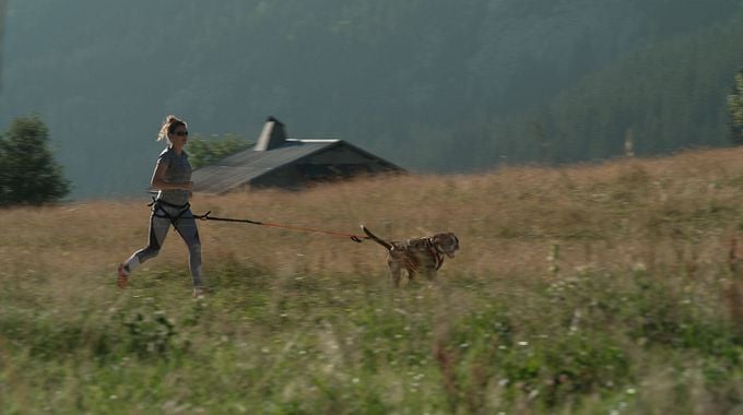 Photo du film Elle entend pas la moto