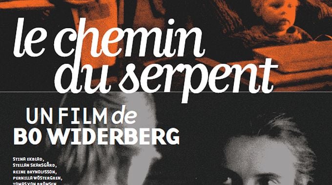 Photo du film Le Chemin du serpent