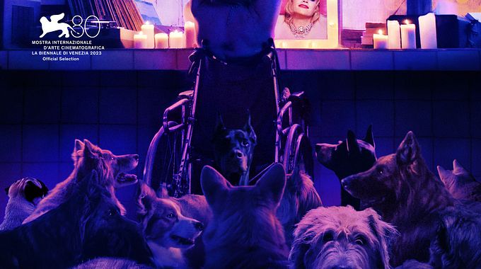Photo du film DogMan