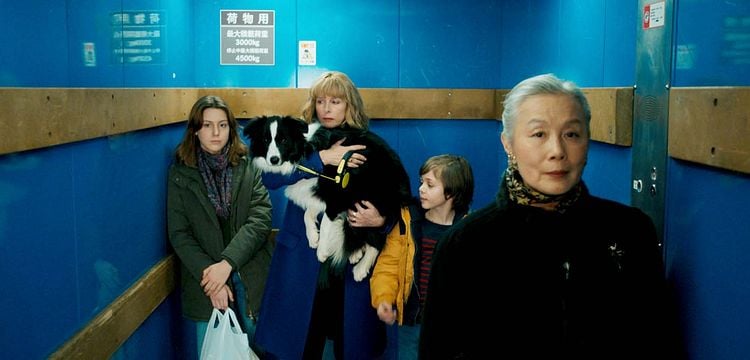 Horaires Des Séances Du Film Tokyo Eyes Tokyo Shaking au Auch - Ciné 32