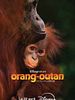 poster de Orang-outan