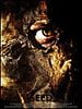 poster de The Seed