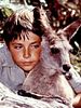 poster de Skippy le kangourou