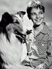 poster de Lassie