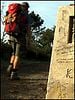 poster de Zu Fuss nach Santiago de Compostela