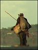 poster de Andarilho