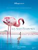 poster de Les Ailes pourpres : le mystère des flamants