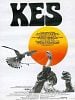 poster de Kes