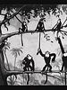 poster de Monkey Melodies