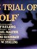 poster de The Trial of Mr. Wolf