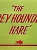 poster de The Grey Hounded Hare