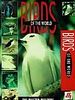 poster de Birds of the World: The Master Builders