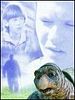 poster de Mel