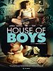 poster de House of Boys