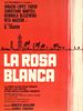 poster de Rosa blanca
