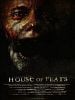poster de House Of Fears