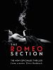 poster de The Romeo Section