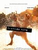 poster de Puzzled Love