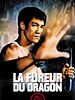 poster de La Fureur du dragon