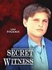 poster de Secret Witness