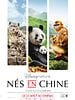 poster de Nés en Chine