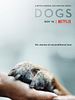 poster de Nos amis les chiens