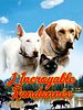 poster de L'incroyable randonnée