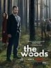 poster de Dans les bois