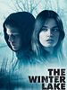 poster de The Winter Lake