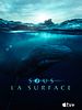 poster de Sous la surface