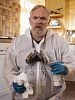 poster de The Cleaner