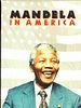 poster de Mandela in America
