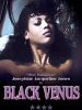 poster de La Vénus noire