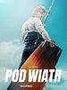 poster de Into the Wind
