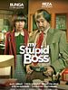 poster de My Stupid Boss