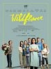 poster de Wildflower