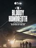 poster de The Bloody Hundredth : la 100e escadre