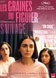 Affiche de Les Graines du figuier sauvage, film à voir en streaming sur Pygargue