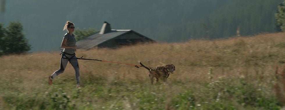 Photo du film Elle entend pas la moto