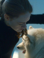 poster de Hector Malot : The Last Day of the Year