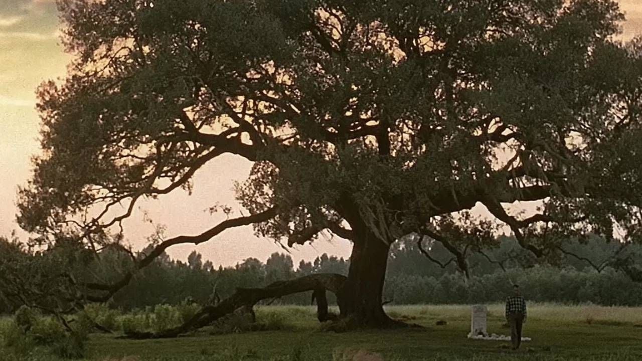 Les Oscars 2023 : films préférés et favoris selon AlloCiné