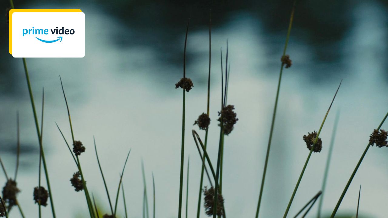 NEW IN STREAMING: One of the most popular sci-fi trilogies of the 2010s is worth revisiting