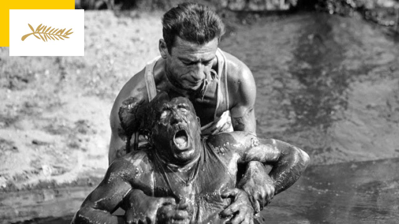 Cannes at the box office: the Palme d’Or branch that received the most in France is…
