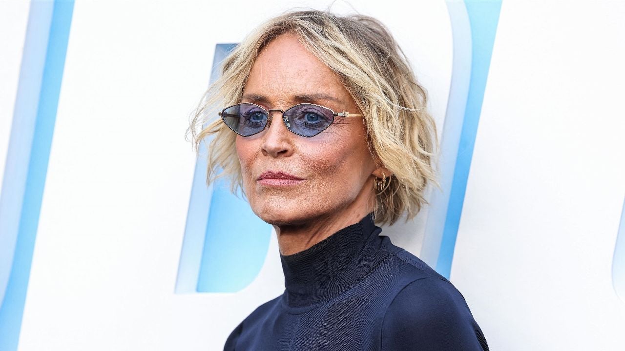 “I can’t see why someone will get this”: This is what Sharon Stone thinks about the main instinct remake