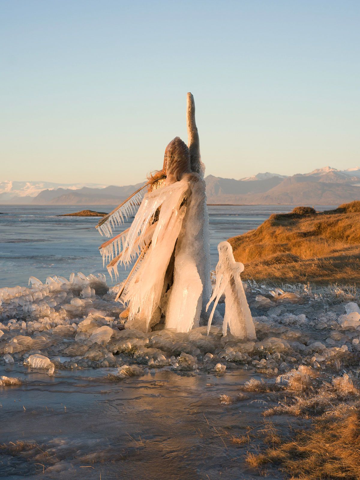 Joan of Arc streaming vf gratuit